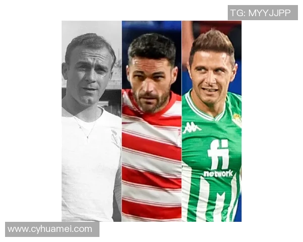 10号球星的传奇人生：从绿茵场到世界巅峰的辉煌之路