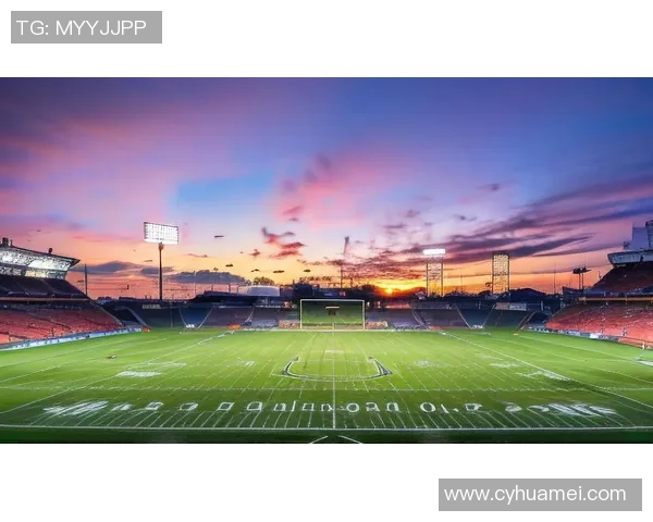 《通过球场风采与技术分析辨识足球巨星的独特魅力》